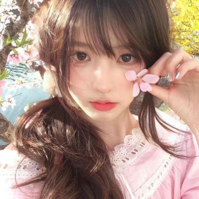 笨蛋的悲剧人生